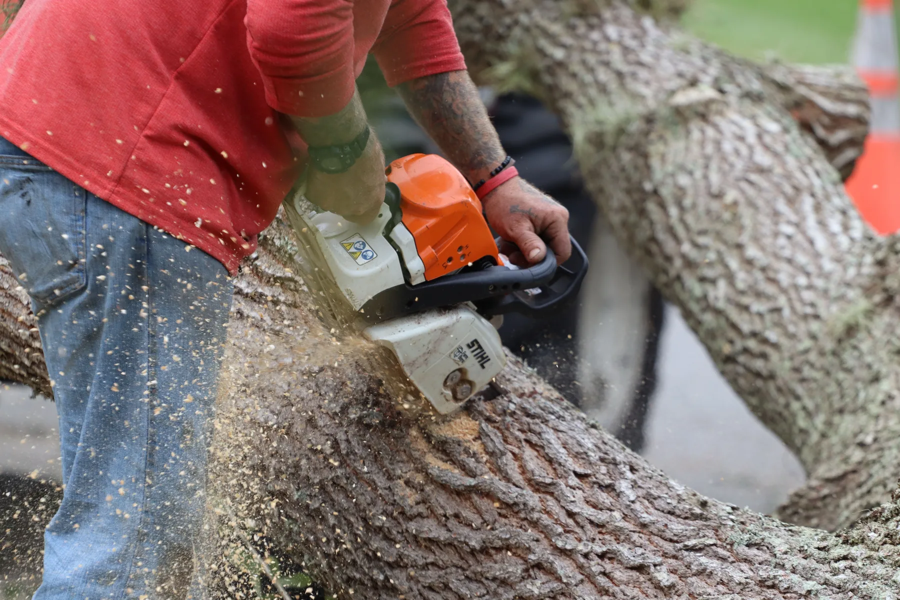 Chainsaw cutting a large limb