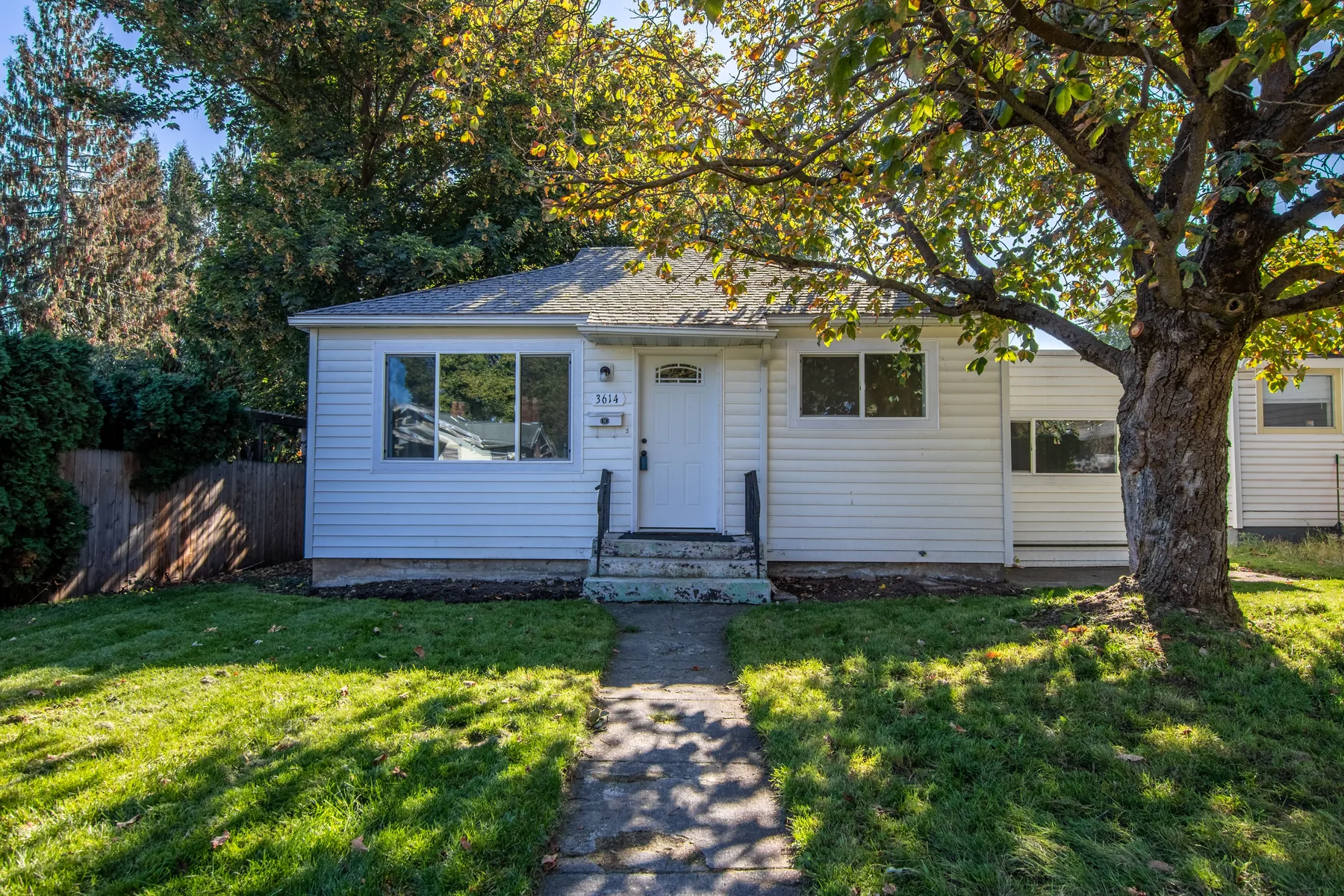 Mature tree beside a home